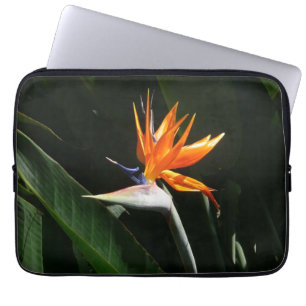 Fjäder från Paradise Orange Tropical Flower Laptop Fodral