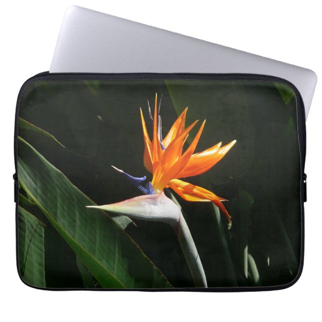 Fjäder från Paradise Orange Tropical Flower Laptop Fodral (Framsidan)