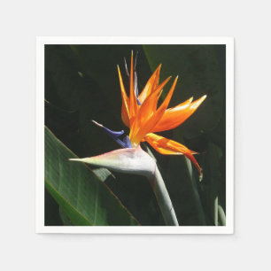 Fjäder från Paradise Orange Tropical Flower Pappersservett