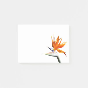 Fjäder från Paradise Orange Tropical Flower Post-it Block