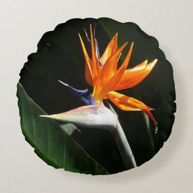 Fjäder från Paradise Orange Tropical Flower Rund Kudde (Framsidan)