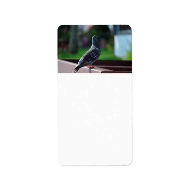 Fjäderduva av fågelfjäder adressetikett (Framsidan)