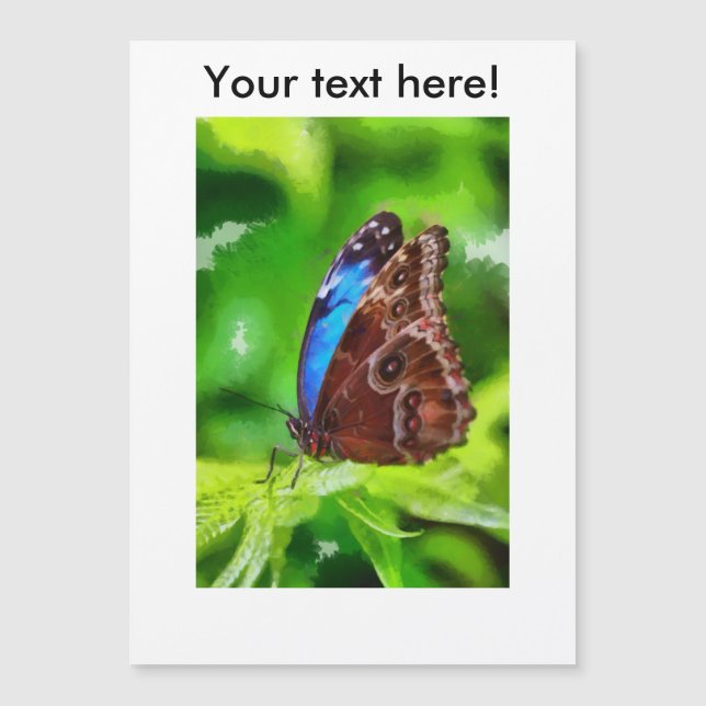 Fjäderfä (Framsida)