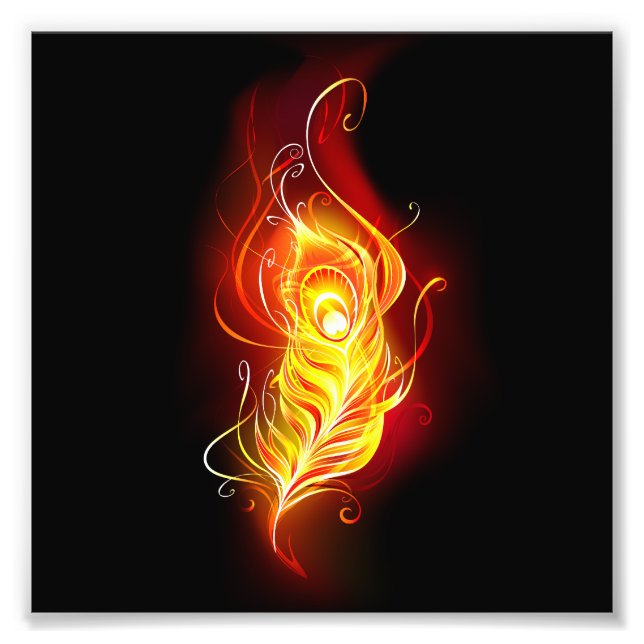 Fjäderfä av brandboskap fototryck (Framsidan)