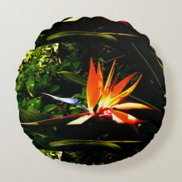 Fjäderfä av paradise Flower Pillow Rund Kudde