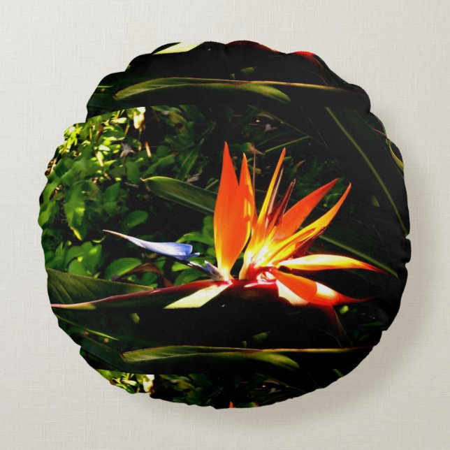 Fjäderfä av paradise Flower Pillow Rund Kudde (Framsidan)