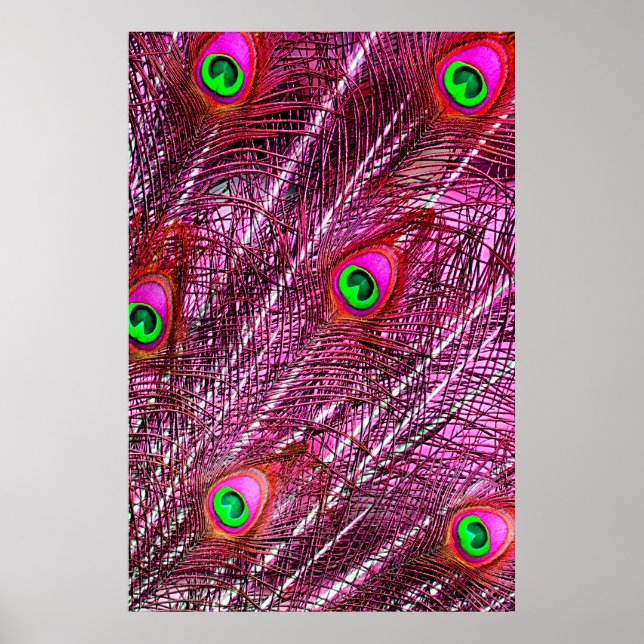 Fjäderfä av rödalj, färg poster (Framsidan)