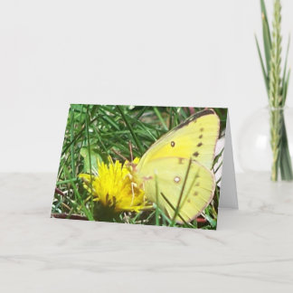 Fjäderfä - du tänker på dig kort