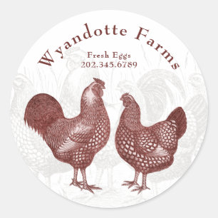 Fjäderfä Farm Wyandotte Chickens Fresh Eggs Runt Klistermärke