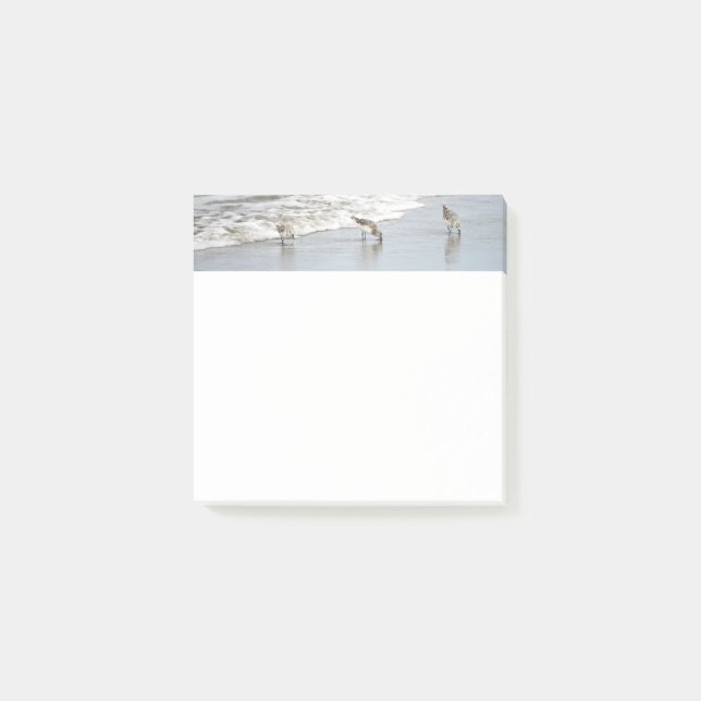 Fjäderfä i Surfan 3x3 Anteckningar Post-it Block (Framsida)