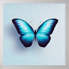 Fjäderfä mot vit bakgrund poster