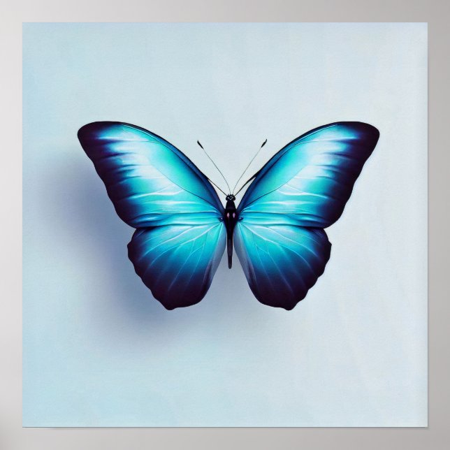 Fjäderfä mot vit bakgrund poster (Framsidan)