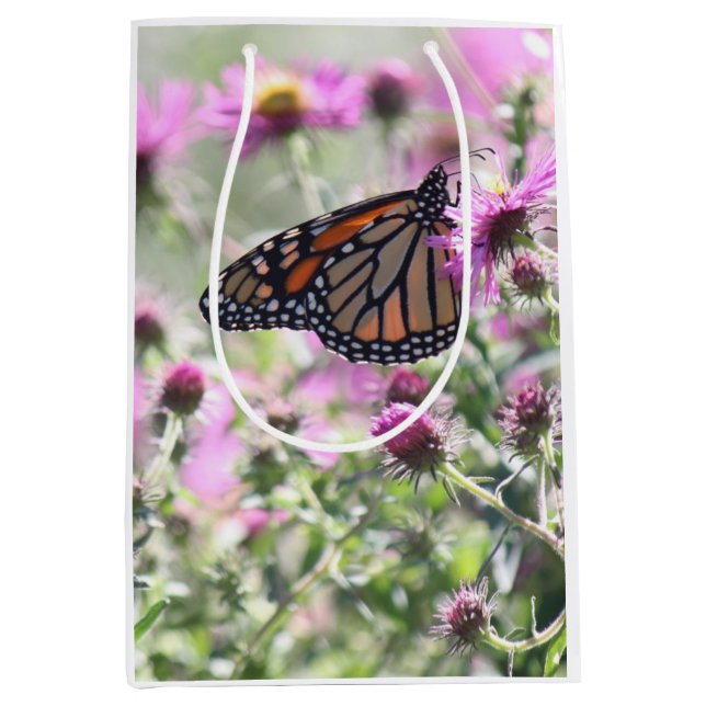 Fjäderfä och Lila (Framsidan)