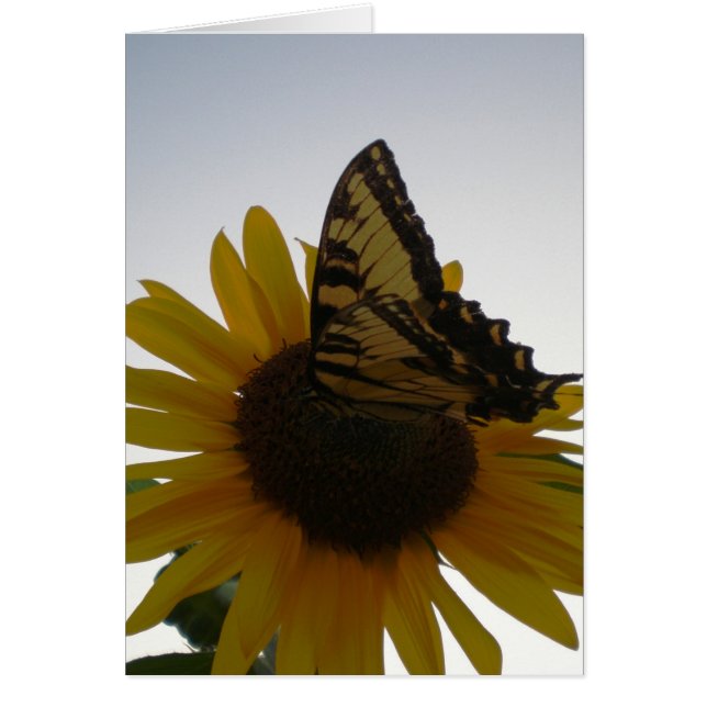 Fjäderfä på Dusk Hälsningskort (Framsidan)