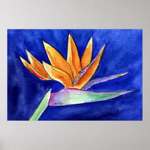 Fjäderfä Paradise Flower Painting Art Poster utskr