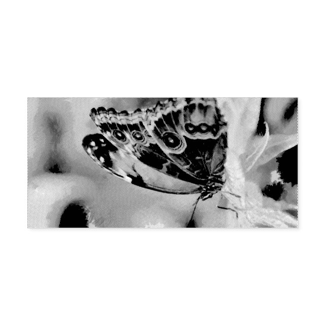 Fjäderfä Självfärgande Stämpel (Design)