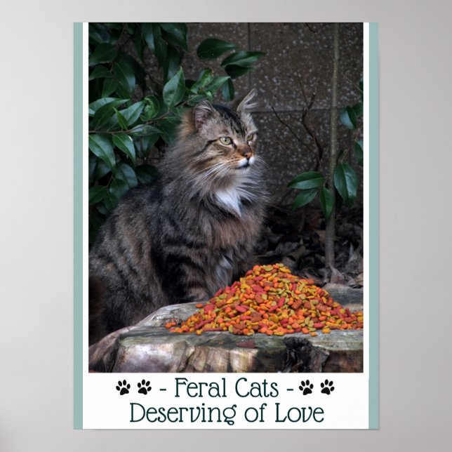 Fjäderfä som förtjänar Kärlek Poster (Framsidan)