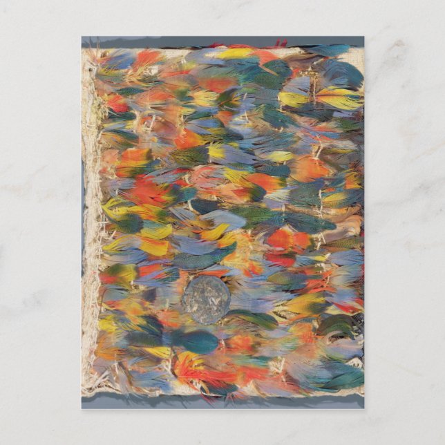 Fjäderfä Vykort (Framsida)