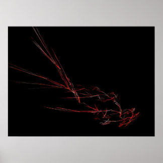 Fjäderfåglar Poster