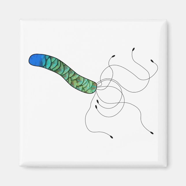 Fjäderfäkonsmikrob magnent magnet (Framsidan)