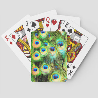 Fjäderfäköttsbidrag Spel Kort