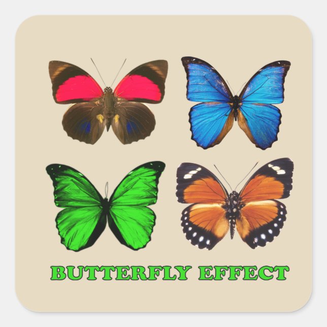 Fjäderfänga, effekt fyrkantigt klistermärke (Framsida)