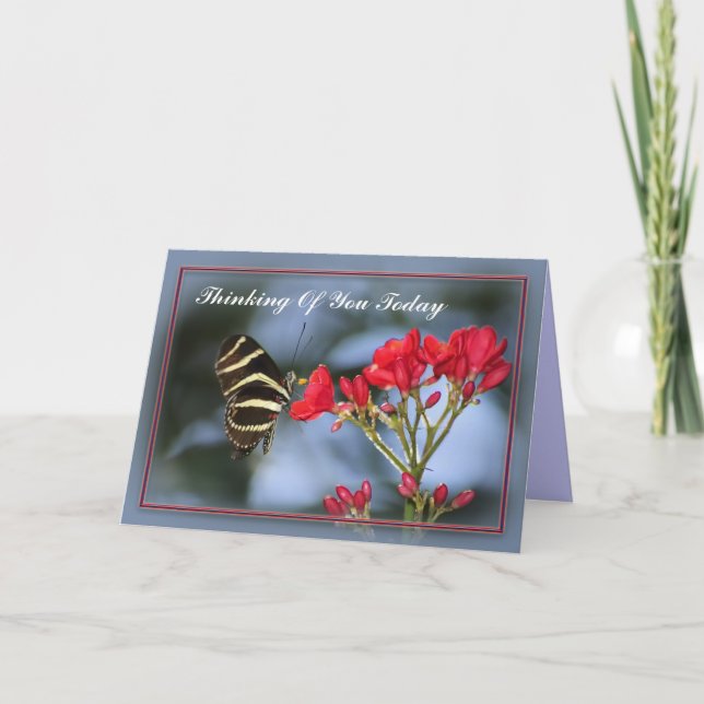 Fjäderfänga tankar om ditt kort (Framsida)