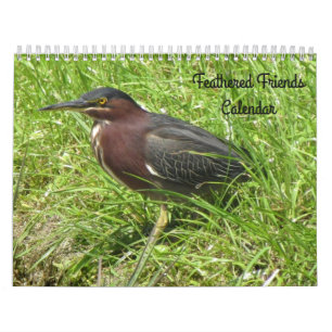 Fjäderfänga vänner - fågelkalender kalender