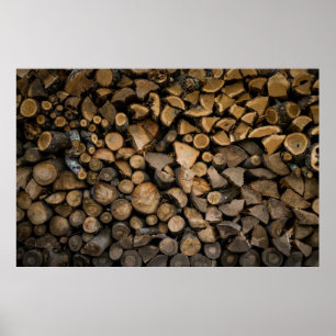 Fjäderfästen Poster