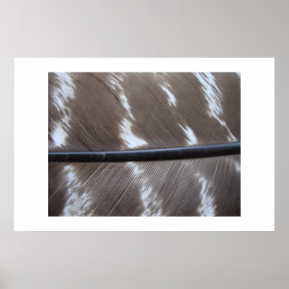 fjäderfoto 007 poster