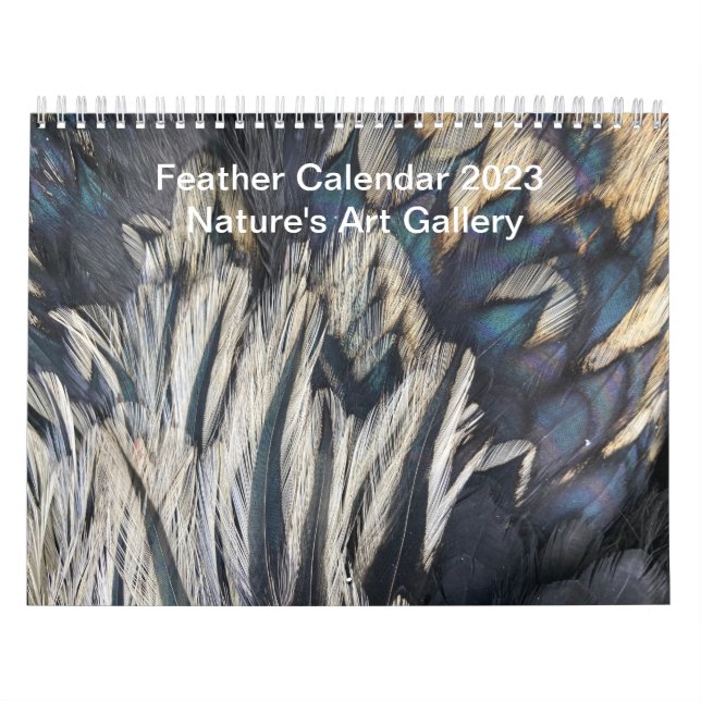 Fjäderkalender 2023: Naturens konstgalleri Kalender (Omslag)