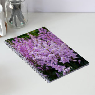 Fjäderlosa Rosa Astilbe Fjädrar Blommig Anteckningsbok