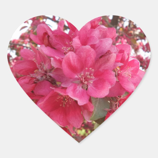 Fjädertid Flower Heart - etikett (Framsida)
