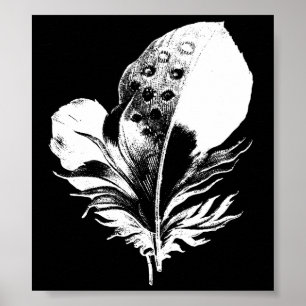 Fjädertryck Poster
