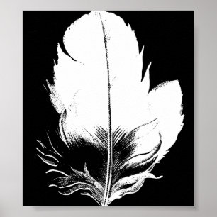 Fjäderutskrift Poster