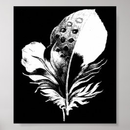 Fjäderutskrift Poster