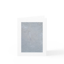 Fjädra från ovan, anpassning av tomt kort