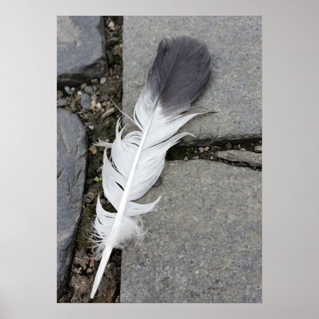 Fjädra på trottoarer poster (Framsidan)