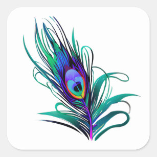 Fjädra Peacock Feather Fyrkantigt Klistermärke