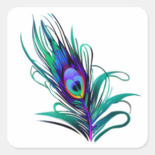 Fjädra Peacock Feather Fyrkantigt Klistermärke