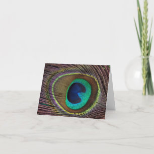 Fjädra Peacock Feather Kort