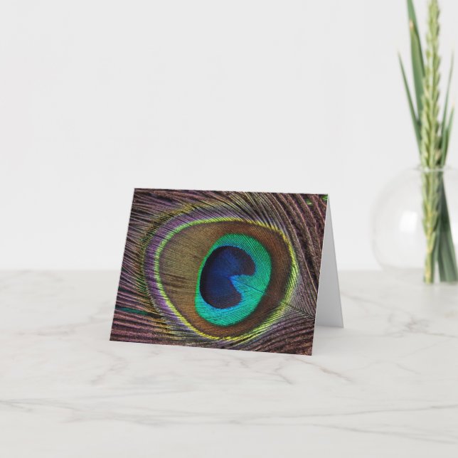 Fjädra Peacock Feather Kort (Framsida)