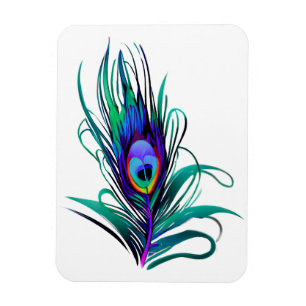 Fjädra Peacock Feather Magnet