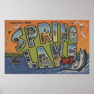 Fjädra sjön, nya - jerseyen - stora brevplatser poster