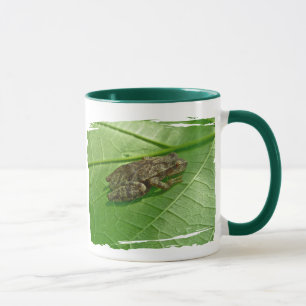 Fjädra Treefrog för peeperen (Pseudacriscrucifer Mugg