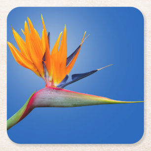 Fjädra vid Paradise Strelitzia Flower Underlägg Papper Kvadrat