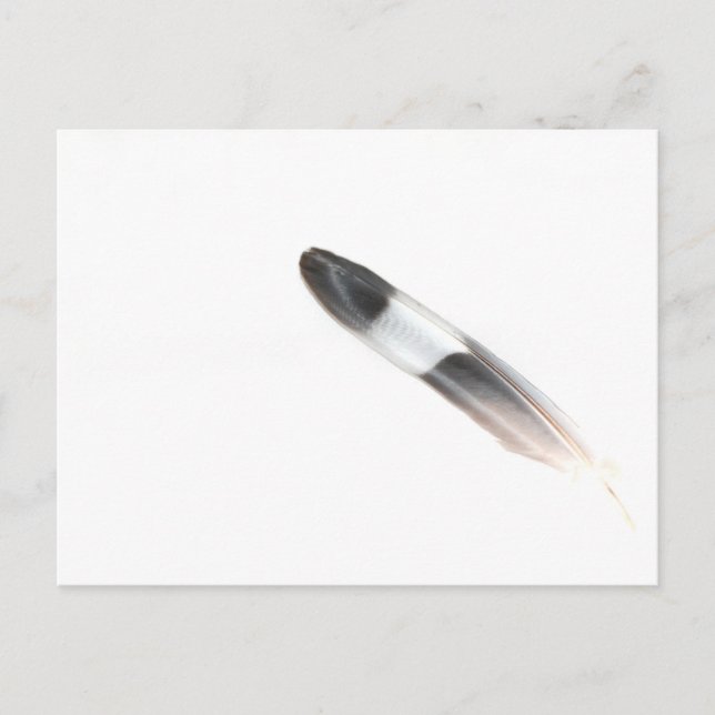 Fjädra Vykort (Framsida)