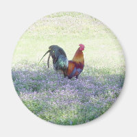 Fjädrad Pride, magnet