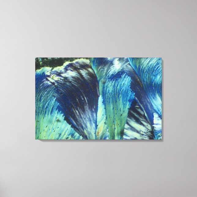 Fjädrande Canvastryck (Framsida)