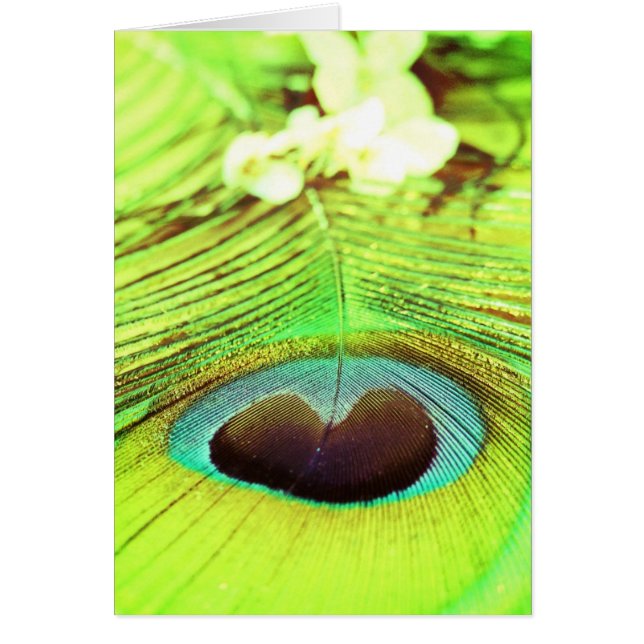 FJÄDRAR HÄLSNINGSKORT (Framsidan)